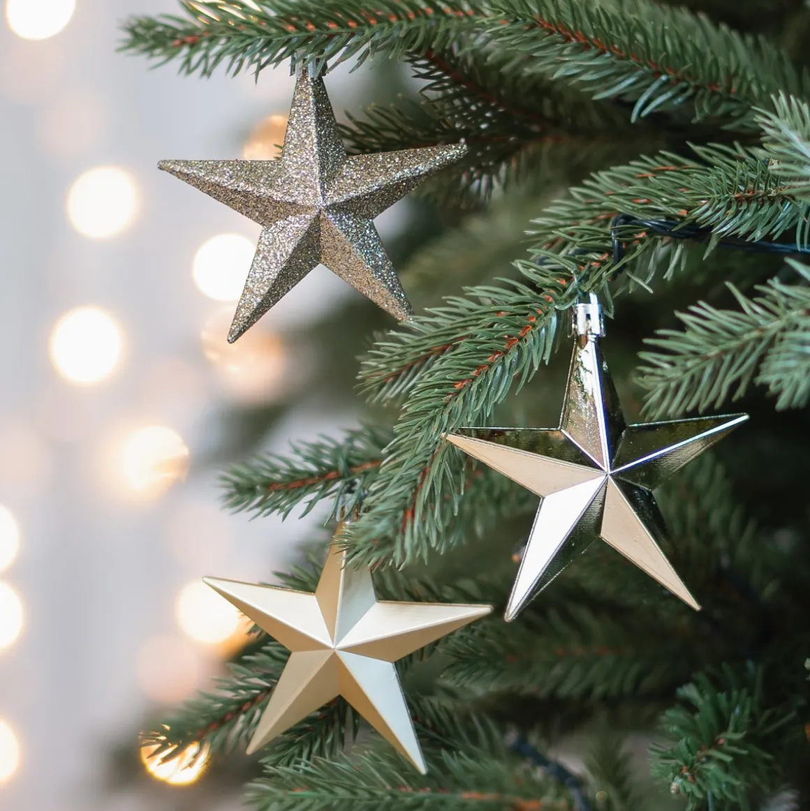 12 Kerststerren | Goud | Kunststof | 10 Cm