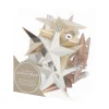 12 Kunststof Kerststerren Home Sweet Home Mix 10 Cm