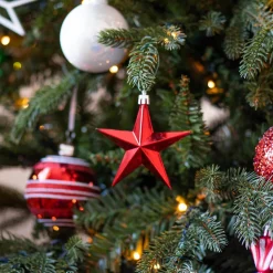 12 Kunststof Kerststerren Rood 10 Cm