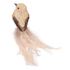 Champagne Vogel Met Glitters Op Stijlvolle Clip