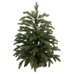 Compacte 'Djill' Premium Kunstkerstboom