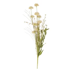 Droogbloem Met Pompons | Groen | 53 Cm