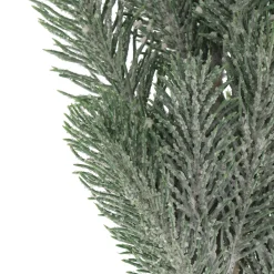 Groene Smalle Dennentakjes Met Frost Look