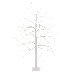 Grote Berkenboom Met LED-verlichting