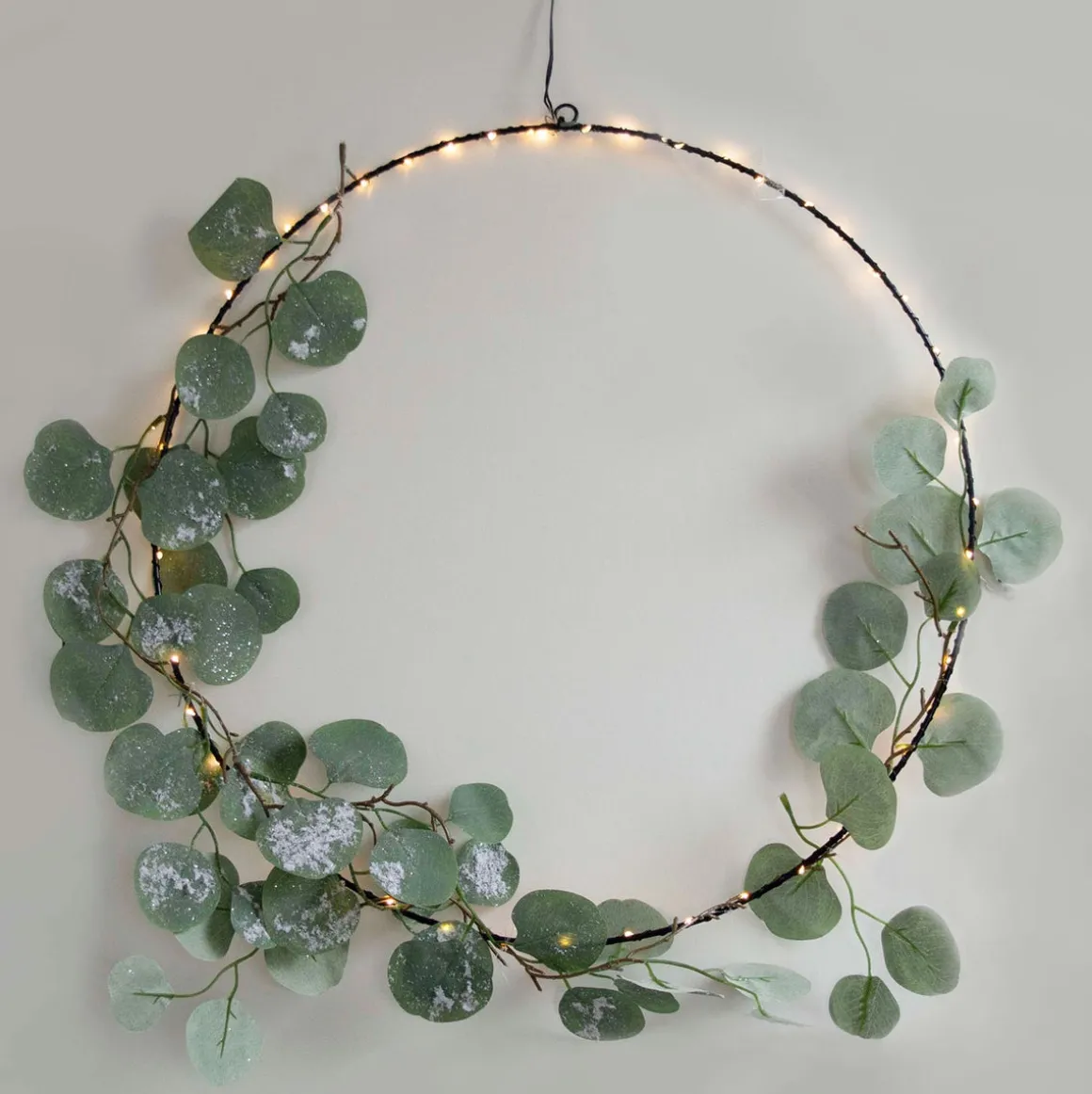 Hangende Metalen Ring Met LED | Ø 50 Cm | Zwart