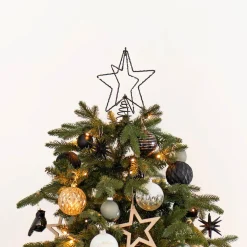 Kerstpiek Met LED-licht | Binnen En Buiten | 25 Cm