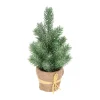 Mini Kerstboom Met Frost En Jute Zak 24 Cm