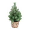 Mini Kerstboom Met Frost | 30 Cm | Incl. Grijs Rieten Mandje