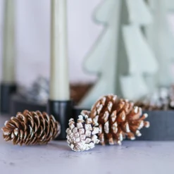 Mix Van Dennenappels Met Sterren 300gram