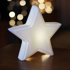 Porseleinen Kerstster Met Verlichting | 21 Cm | Wit