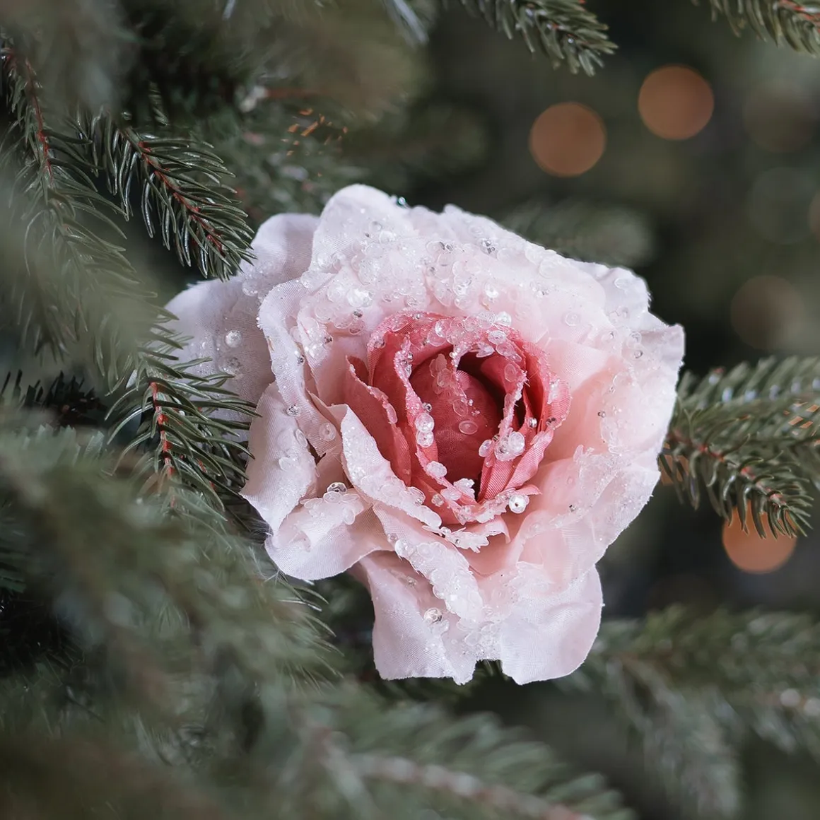 Roos Op Clip Oudroze 12 Cm