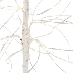 Sierlijke Witte Berkenboom Met LED-verlichting