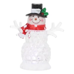 Sneeuwpop Met Gekleurde LED-verlichting