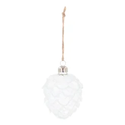 Transparante Glazen Dennenappel Met Rijp