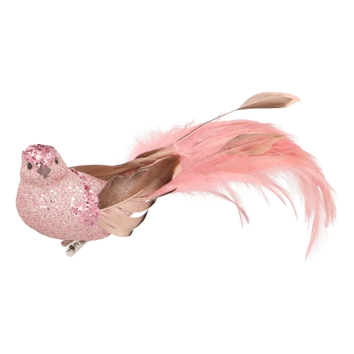 Zachtroze Kolibrie Op Clip Met Lange Staart