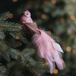 Zachtroze Kolibrie Op Clip Met Lange Staart