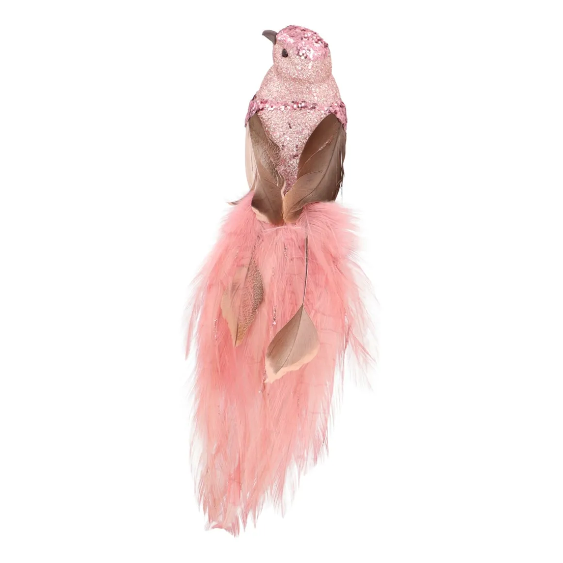 Zachtroze Kolibrie Op Clip Met Lange Staart