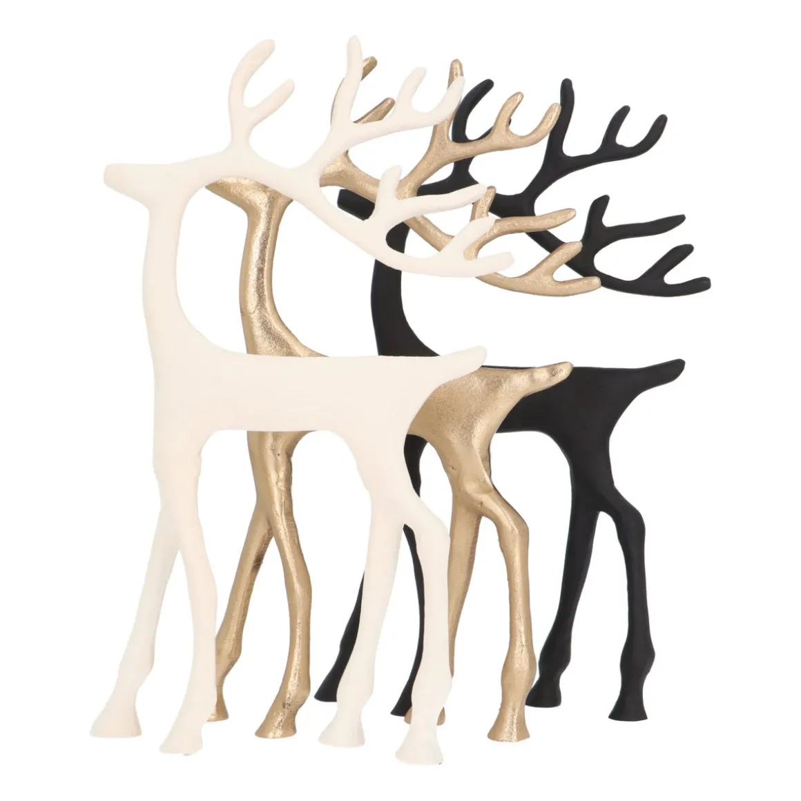 Zwart Rendier Met Sierlijk Gewei